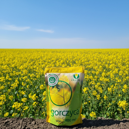 Gorczyca biała ‘Gracja’ C/1 nasiona na poplon 1 kg, do 400 m²